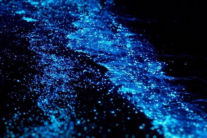 Tren 'Bio-Luminescent' yang Bikin Ruangan Terang Tanpa Listrik!