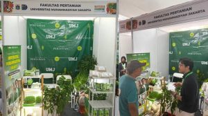 Kebun di Balik Dinding Senyap: Ketika Tren Urban Farming Oktober 2026 di Jakarta Beralih ke Tanaman Mycelium Bio-Luminescent yang Berfungsi Sebagai Lampu Penerangan Alami dan Pembersih Polusi Udara