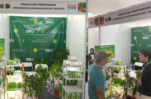Kebun di Balik Dinding Senyap: Ketika Tren Urban Farming Oktober 2026 di Jakarta Beralih ke Tanaman Mycelium Bio-Luminescent yang Berfungsi Sebagai Lampu Penerangan Alami dan Pembersih Polusi Udara