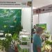 Kebun di Balik Dinding Senyap: Ketika Tren Urban Farming Oktober 2026 di Jakarta Beralih ke Tanaman Mycelium Bio-Luminescent yang Berfungsi Sebagai Lampu Penerangan Alami dan Pembersih Polusi Udara
